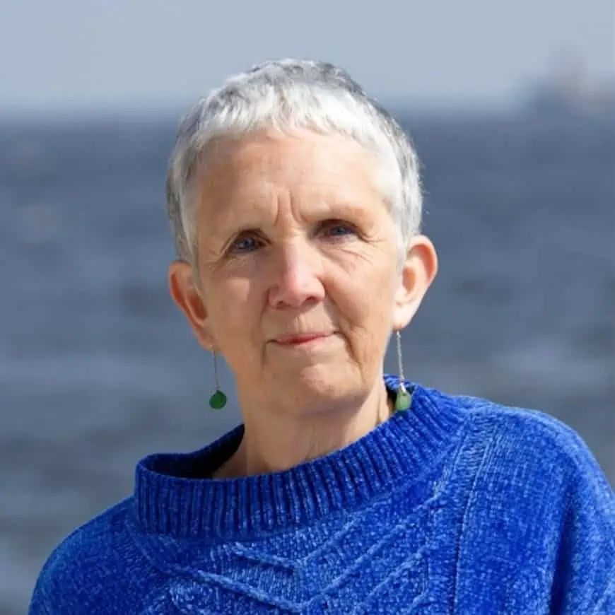 Ann Cleeves