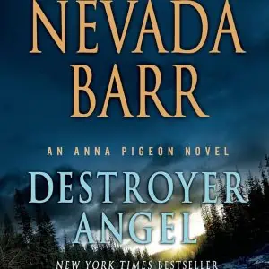 Destroyer Angel