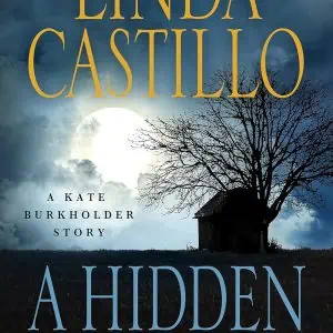 A Hidden Secret: A Kate Burkholder Short Story