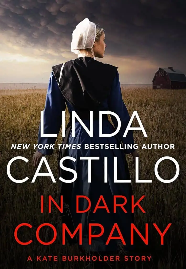 In Dark Company: A Kate Burkholder Short Story