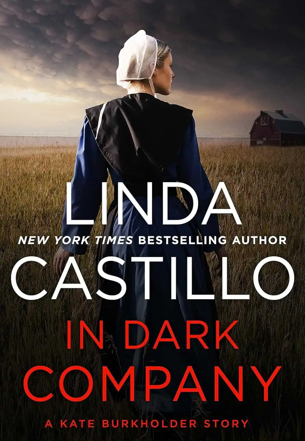 In Dark Company: A Kate Burkholder Short Story