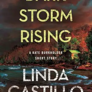 Dark Storm Rising: A Kate Burkholder Short Story