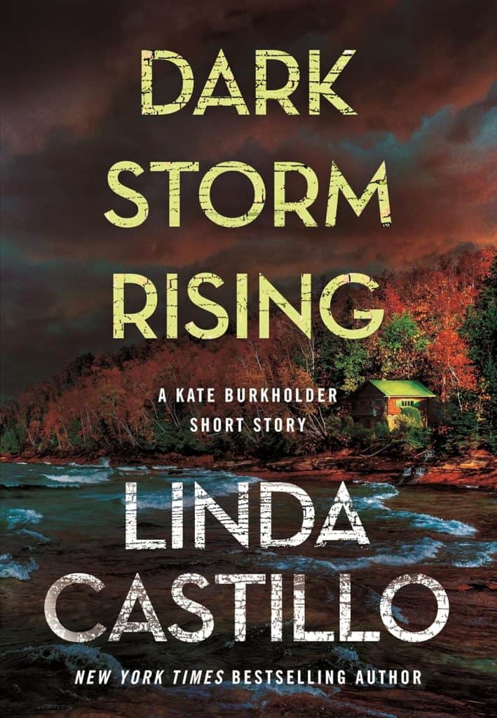 Dark Storm Rising: A Kate Burkholder Short Story