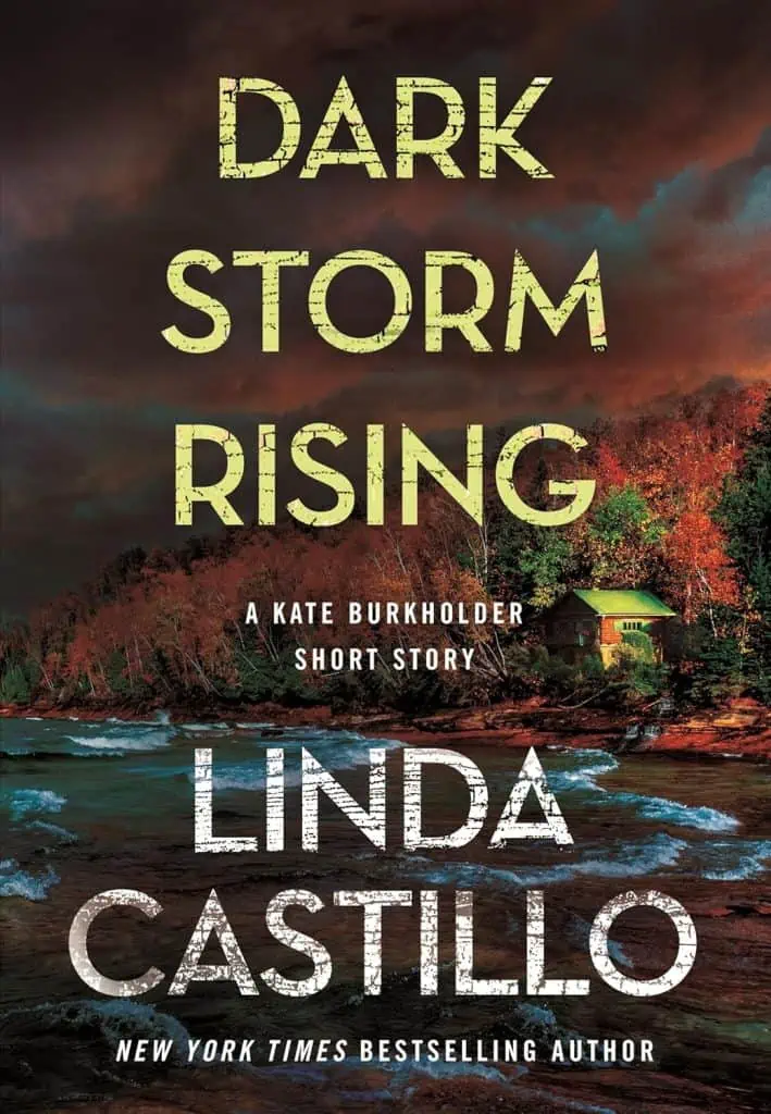 Dark Storm Rising: A Kate Burkholder Short Story