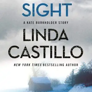 In Plain Sight: A Kate Burkholder Short Mystery