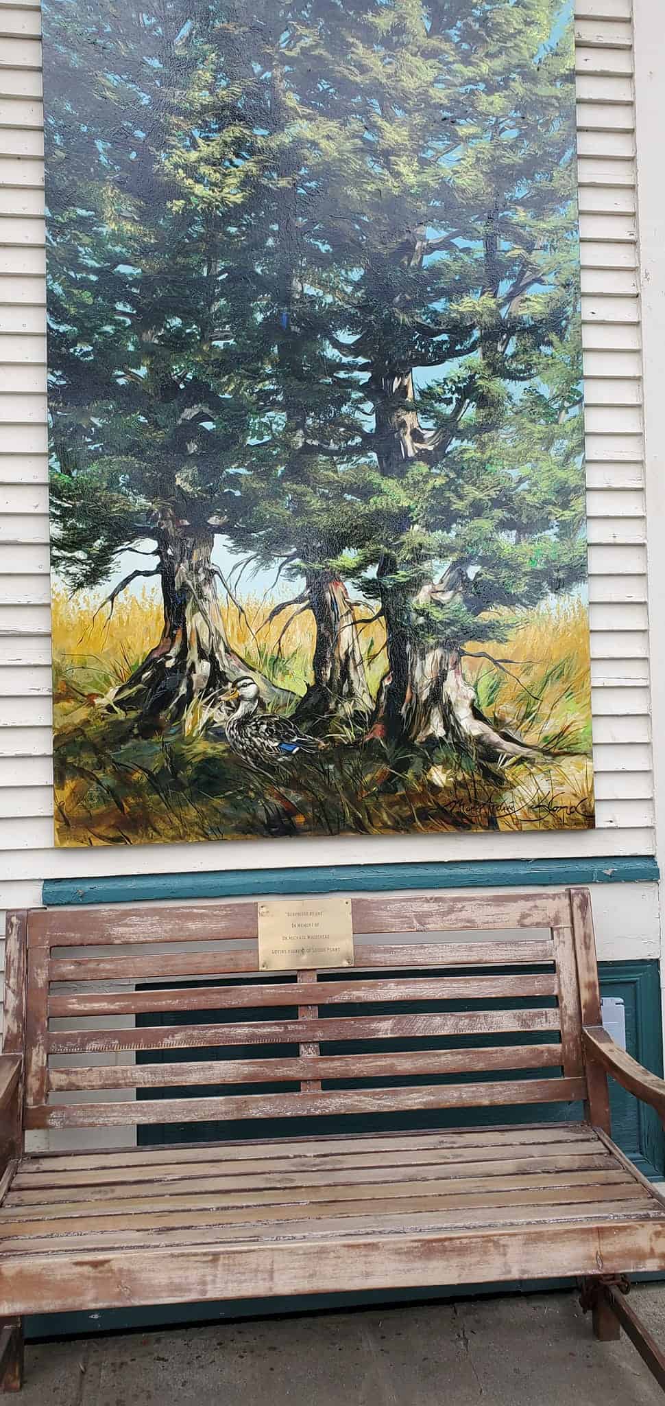 Dr. Whitehead memorial bench in Knowlton, Quebec