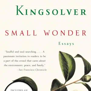 Small Wonder: Essays