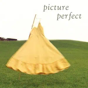 Picture Perfect