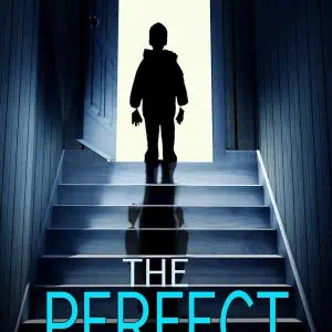 The Perfect Son