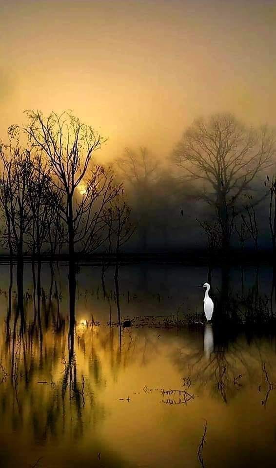 mei lan