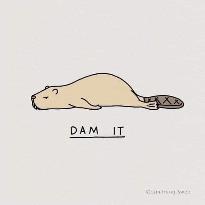 Pam D