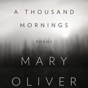 A Thousand Mornings