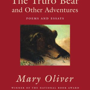 The Truro Bear and Other Adventures