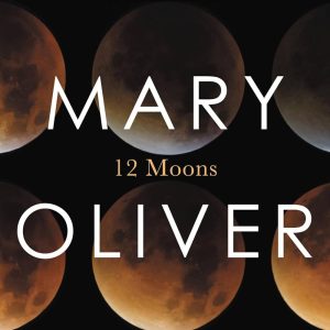 Twelve Moons