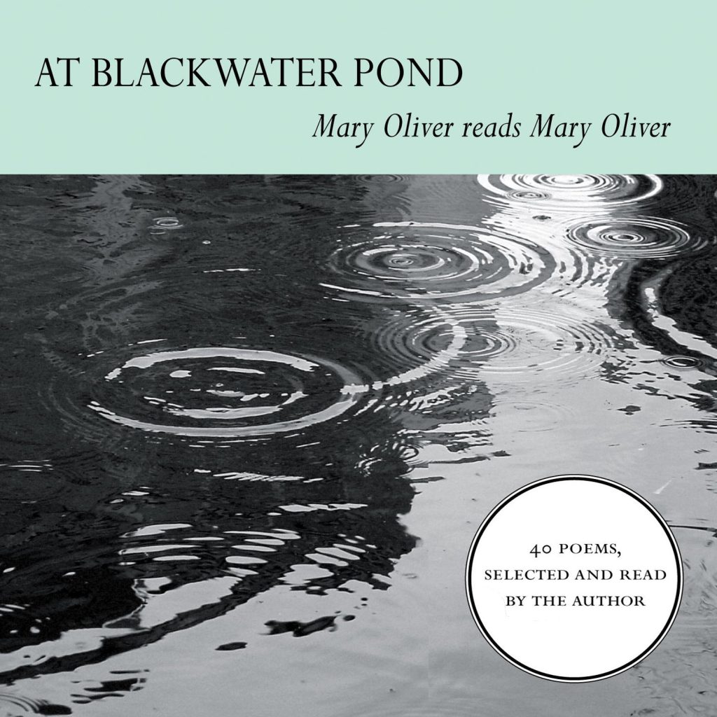 At Blackwater Pond