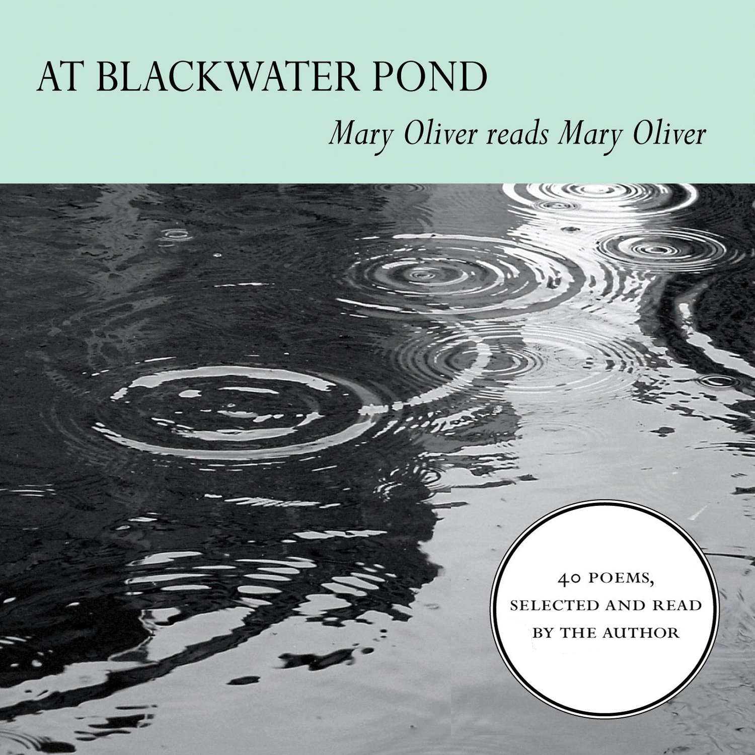At Blackwater Pond