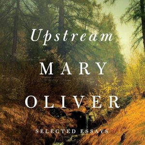 Upstream